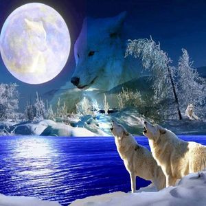 Meet your Posher, Dean